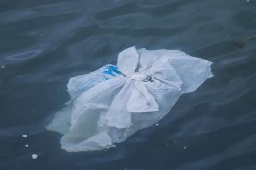 ۱۱ میلیون تن پلاستیک در اقیانوس ها