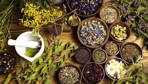 توسعه کشت گیاهان دارویی مقاوم به کم آبی