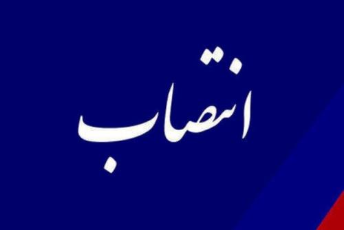 سرپرست مدیریت فناوری موسسه ملی توسعه تحقیقات علوم پزشکی انتخاب شد