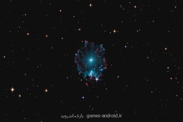 ۶۵ ساعت عکاسی برای شکار چشم گربه در آسمان